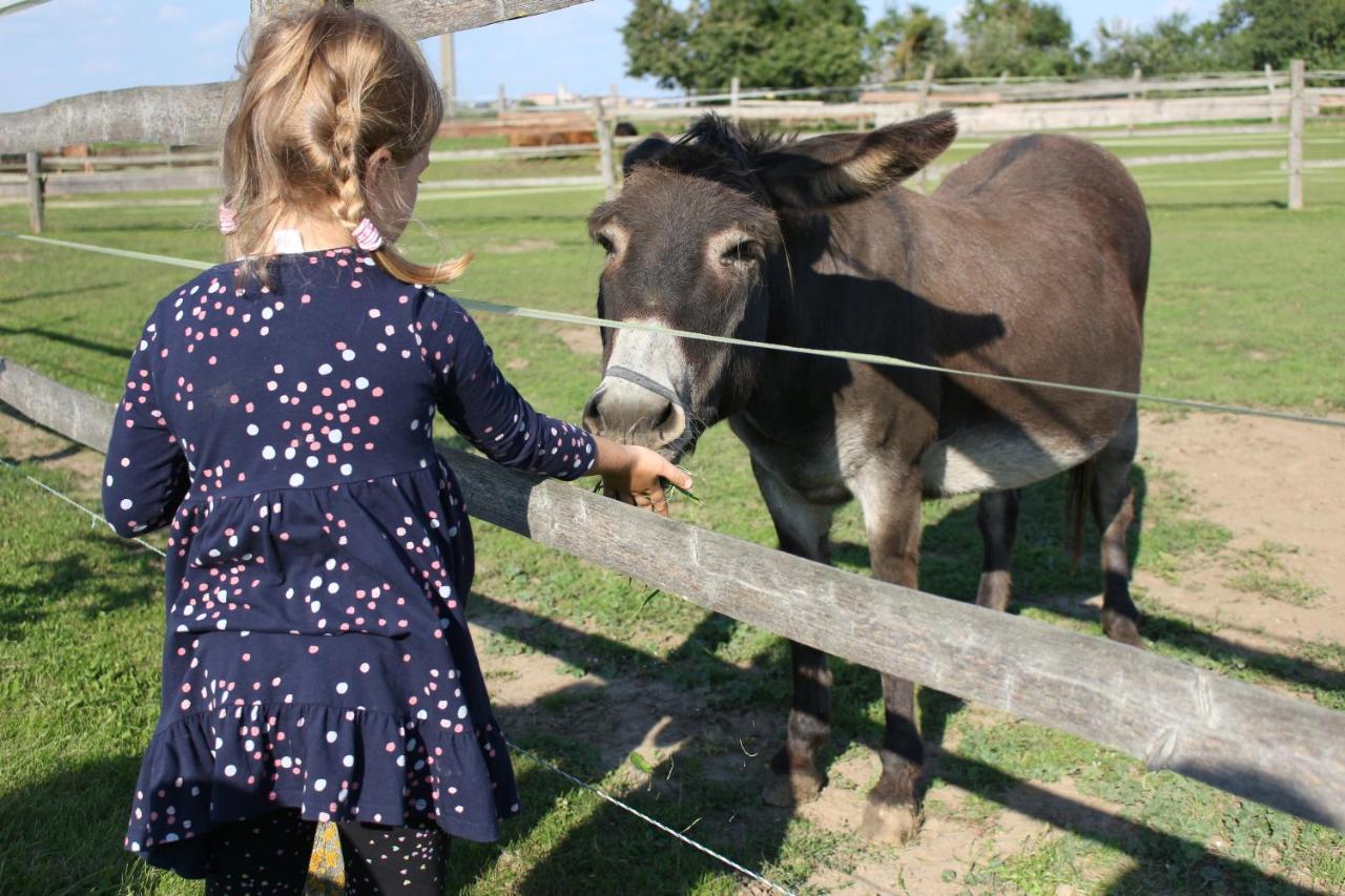 Zoopark Zelcin Villa Mělník Eksteriør bilde
