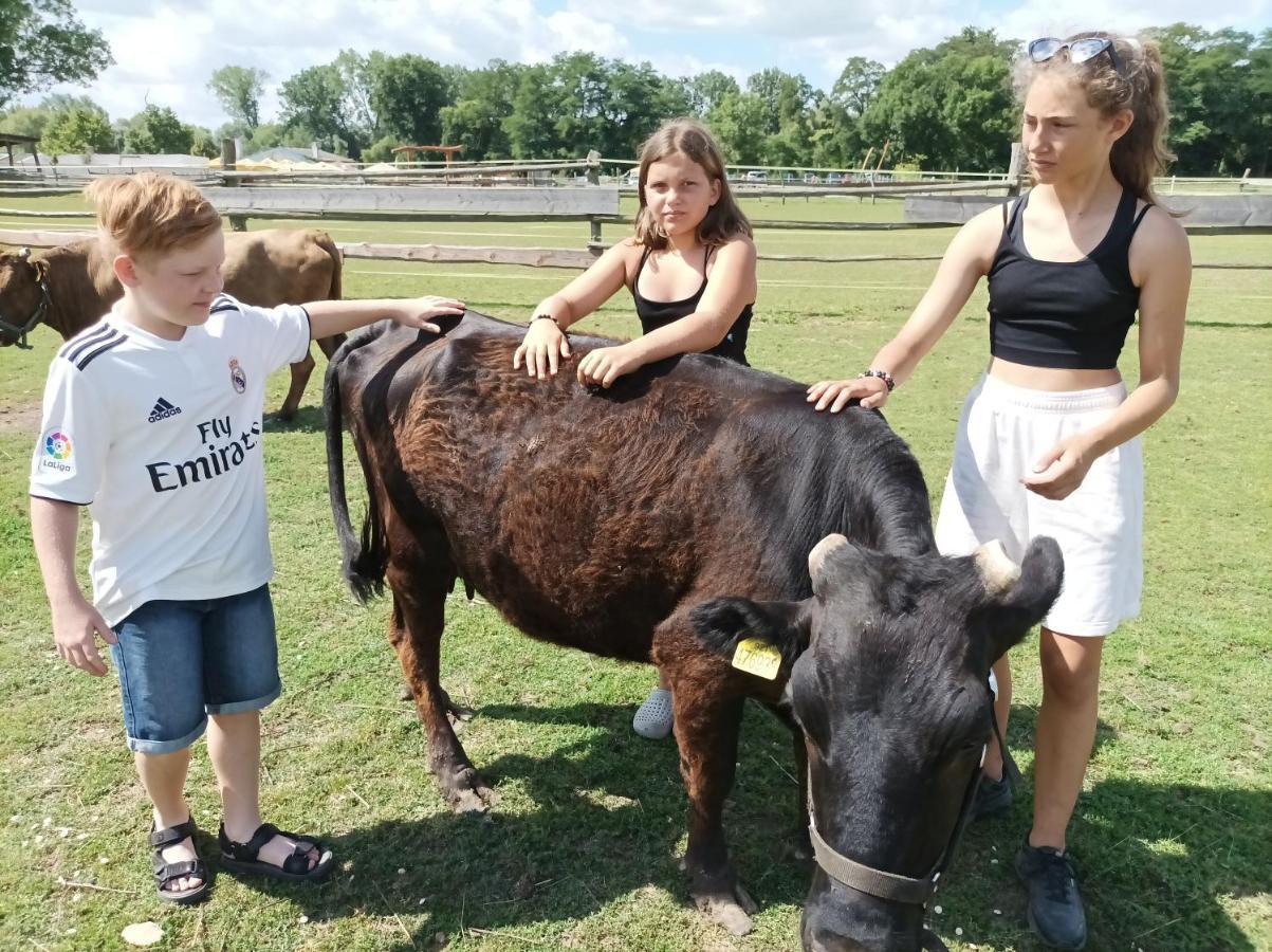 Zoopark Zelcin Villa Mělník Eksteriør bilde